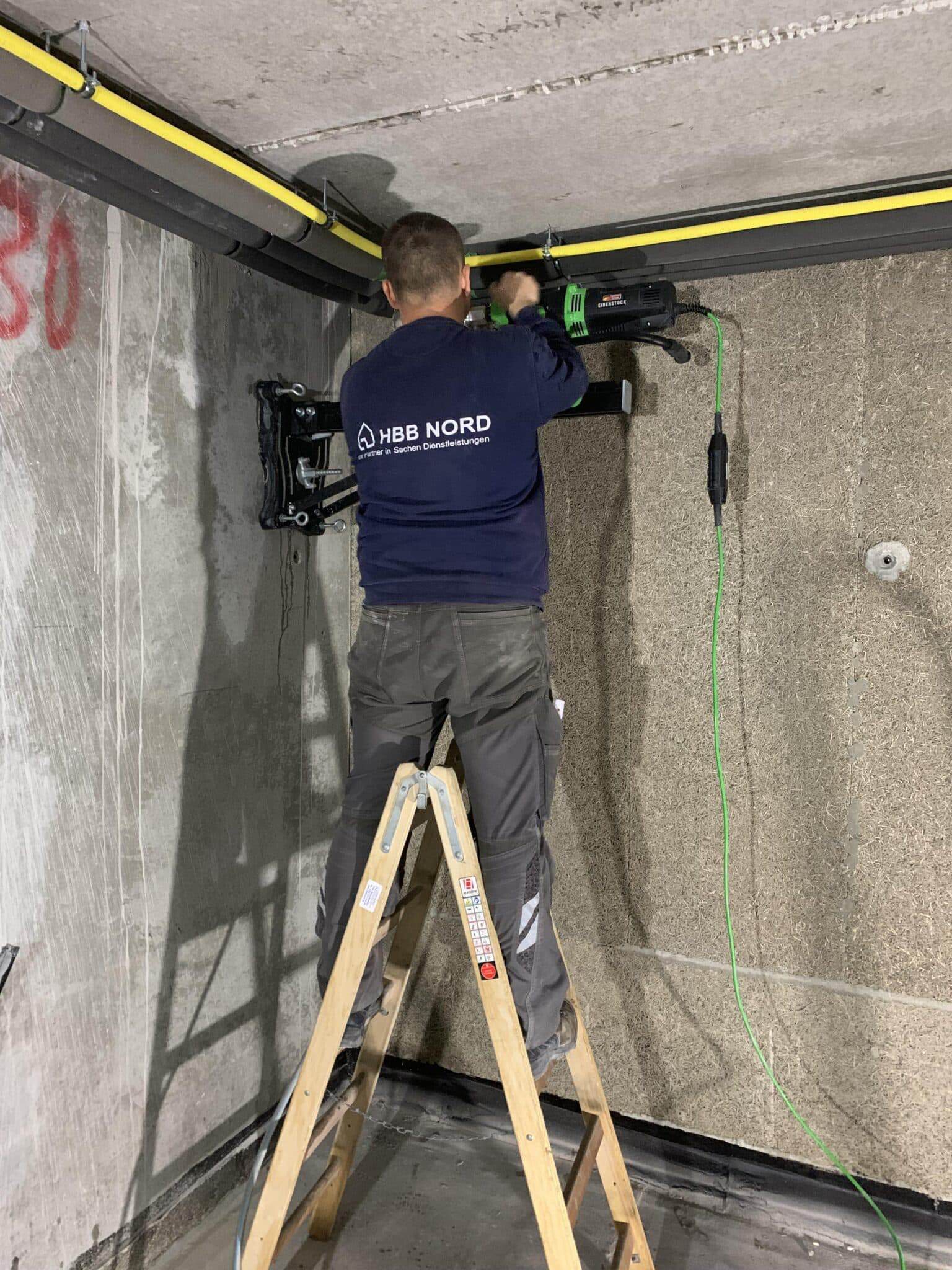 IMG 6176 1536x2048 1 1